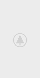 wood-gallery-placeholder-3 wood-gallery-placeholder-3