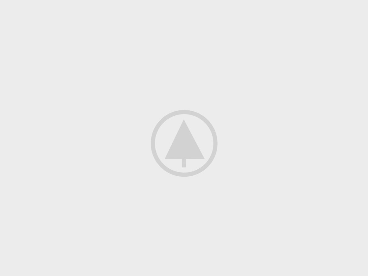 wood-gallery-placeholder-4 wood-gallery-placeholder-4